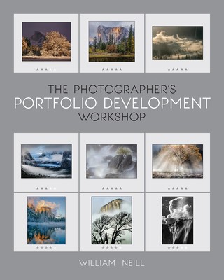 The Photographer&#039;s Portfolio Development Workshop: Learn to Think in Themes, Find Your Passion, Develop Depth, and Edit Tightly