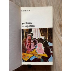 Pictura si spatiul - Noel Mouloud