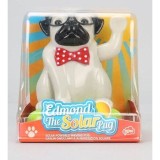 Edmond The Solar Pug