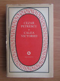 Cezar Petrescu - Calea Victoriei (1982, Editie cartonata)