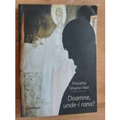 Doamne, unde-i rana? - Siluana Vlad