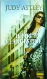 Judy Astley - Iubiri clandestine