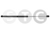 STC T446521 Amortizor portbagaj