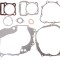 Set complet garnituri ATV 4T AC 250cc