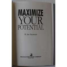 MAXIMIZE YOUR POTENTIAL by R. IAN SEYMOUR , 2002