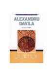 Vlaicu-Vodă - Paperback brosat - Gramar