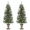 Brazi de Crăciun artificiali 2 buc. 100 LED verde și alb 120 cm