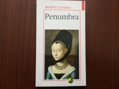 penumbra andrei cornea editura polirom iasi 1998 editia a II-a 210 pagini carte eseuri beletristica
