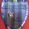Program meci fotbal PETROLUL PLOIESTI-&quot;ASTRA&quot; GIURGIU (16.03.2014)