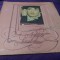 Disc vinil/vinyl vechi Angela Similea&ndash;Nufărul Alb duet cu actorul Florin Piersic