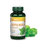 Capsule vegane Gotu Kola 2000 mg Vitaking 60 buc