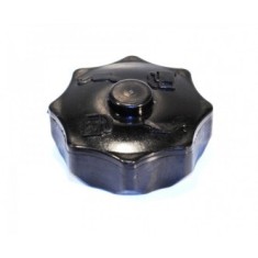 Buson benzina compatibil mai compactor Wacker foto