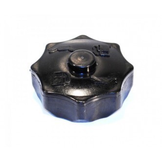 Buson benzina compatibil mai compactor Wacker foto