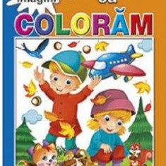 Invatam sa coloram 70 imagini