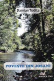 Roman Poveste din Josani, Autor Damian Todita, 167 Pagini, Editura Polirom, Aparitie 2017, Limba Romana