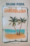 Cartea Guadalajara de Iulian Popa