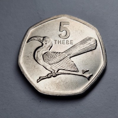 5 Thebe 2013 - Botswana foto