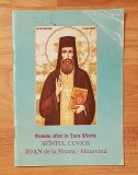 Sfintul Cuvios Ioan de la Neamt - Hozevitul