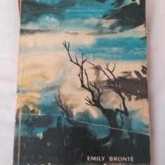 Emily Bronte - La rascruce de vinturi