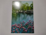 FELICITARE PARCUL HUAKANG CHINA FLORI