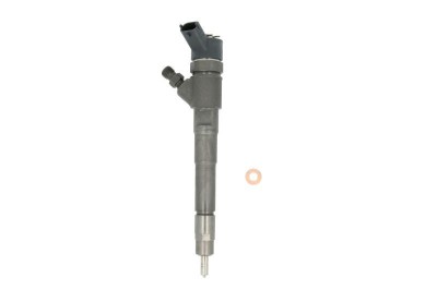 Injector IVECO DAILY IV platou / sasiu (2006 - 2011) BOSCH 0 445 110 273 foto