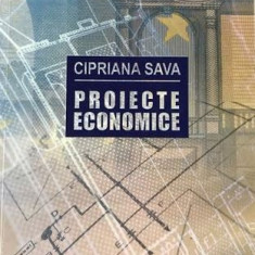Proiecte economice Ciprina Sava