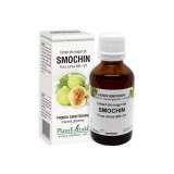 Extract din muguri de SMOCHIN, 50 ml, Plantextrakt