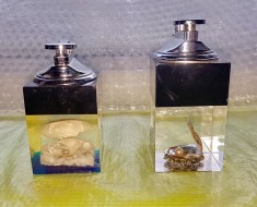 4078-Frumoase Brichete birou Acvariu cu scoici din sticla plastefiata cu metal pe gaz. Stare buna.