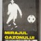 MIRAJUL GAZONULUI de MIRCEA LUCESCU , 1981