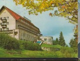 CPI B13933 CARTE POSTALA - PREDEAL. HOTEL &quot;ROZMARIN&quot;, Circulata, Fotografie