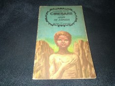 CONSTANTIN CHIRITA - CIRESARII ARIPI DE ZAPADA