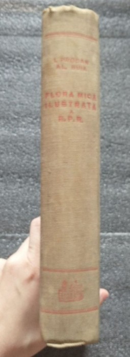 I. Prodan; Al. Buia - Flora mică ilustrată a R.P.R. (1958)