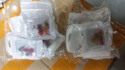 Decor pentru unghii, flori uscate D22 foto