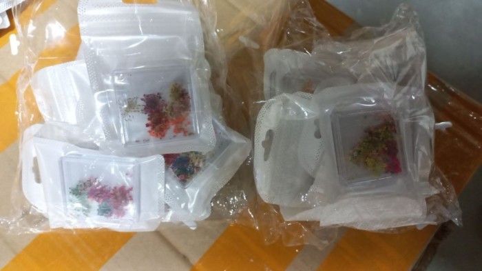 Decor pentru unghii, flori uscate D22