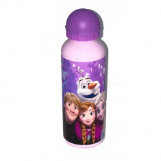 Termos din aluminiu Disney Frozen