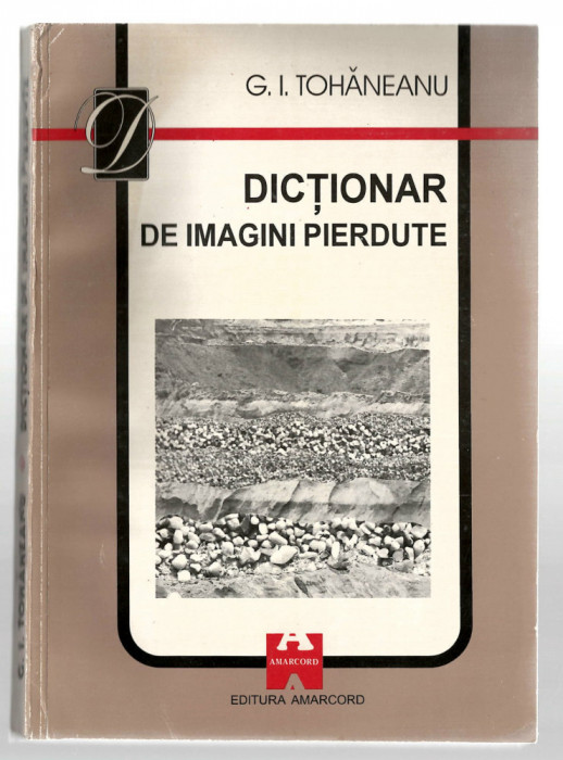 Dictionar de imagini pierdute - G. I. Tohaneanu, Ed. Amarcord, 1995