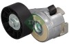 INA 534 0866 10 Intinzator curea, curea distributie