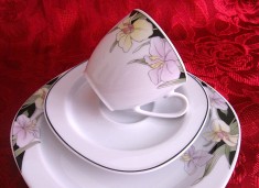 SET MIC DEJUN PORTELAN FLIRT GERMANIA CEASCA CAFEA SI FARFURII
