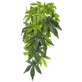 Abutilon Silk Small - plantă pentru terarium, EXO TERRA