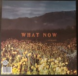 What Now - Yellow Translucent Vinyl | Brittany Howard, R&amp;B, Island Records