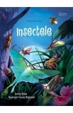 Insectele. Descopar lumea - Emily Bone
