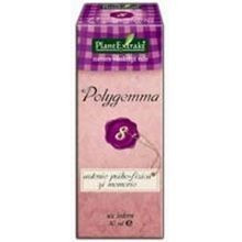 POLYGEMMA NR. 8 50ML(ASTENIE PSIHO-FIZICA/MEMORIE) foto