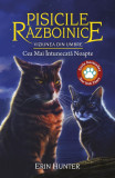 Cumpara ieftin Pisicile razboinice (vol. 34): Viziunea din umbre. Cea mai intunecata noapte