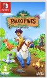 Paleo Pines The Dino Valley NSW
