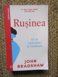 Rusinea De la captivitate la vindecare - John Bradshaw