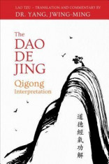 The DAO de Jing: Qigong Interpretation foto