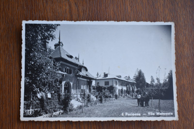 CP Pucioasa Vila Mateescu 1939 foto