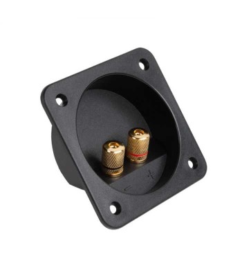 Conector boxa 2 banane aurii foto