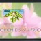 LIBERIA 2011, Flora, serie neuzata, MNH