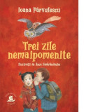 Trei zile nemaipomenite - Ioana Parvulescu